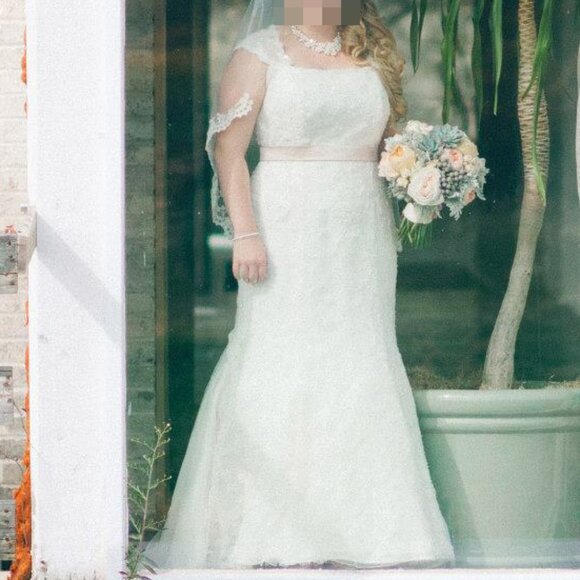 Ivory Lace Keyhole-back Wedding Dress w/ Optional Blush Sash (Demetrios Sz 16) - Picture 2 of 14